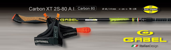 Gabel Carbon XT 2S-80 A.I. | Anti Impact   