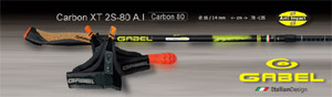 Gabel Carbon XT 2S-80 A.I. | Anti Impact   