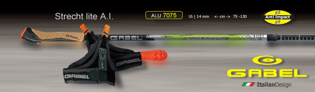 Gabel Stretch Lite A.I. | Anti Impact    